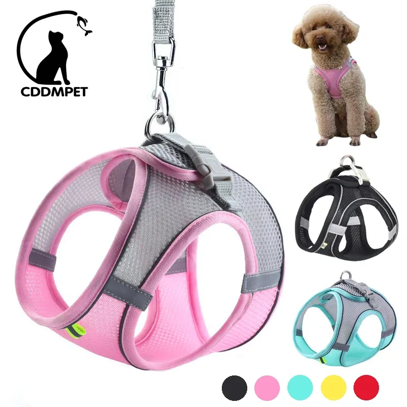 Hundegeschirr-Leine-Set für kleine Hunde, verstellbares Welpen-Katzengeschirr, Weste, französische Bulldogge, Chihuahua, Mops, Outdoor-Walking-Leine