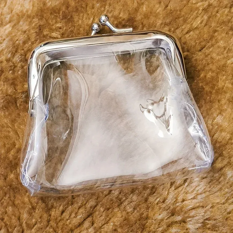 1 x transparente Mini-Geldbörse, tragbare Mini-Make-up-Tasche, Kopfhörertasche, Reise-Kosmetik-Organizer