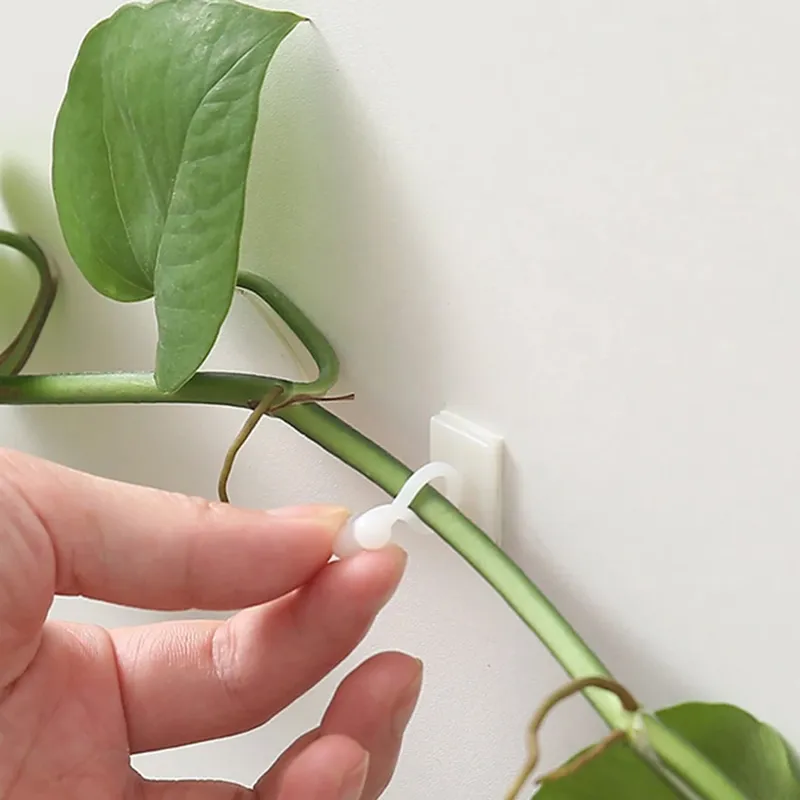 10 stücke-Home Garten Pflanze Klettern Wand Halterung Clips Rattan Reben Fixer Selbst-Kleber Anlage Klettern Wand Feste schnalle Haken