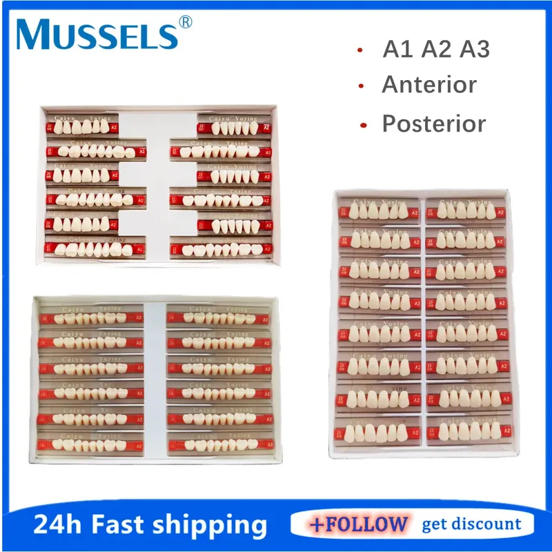 84/96 stücke Dental Acryl Synthetische Harz Zähne Falsche Gefälschte Verbund Zahn Volle Mund Prothese Oberen Unteren Hinteren Anterißen S/M/L
