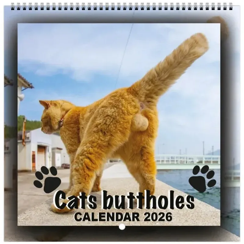 Katzen-Po-Kalender 2026 12, monatlicher, lustiger Katzenschwanz-Wandkalender, Familienplaner, Planungswerkzeug für Wohnzimmer und Schlafzimmer
