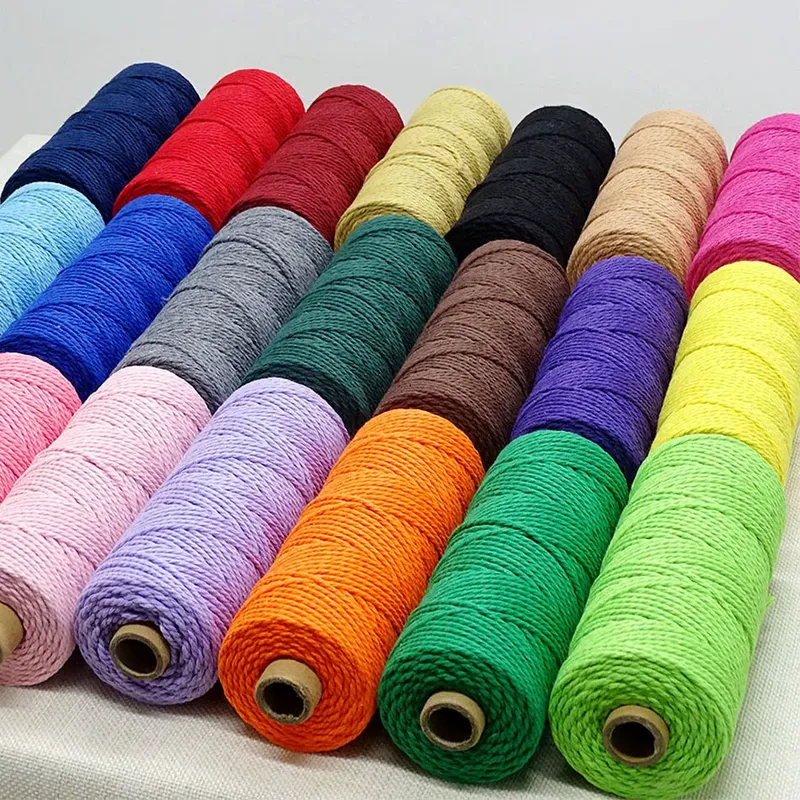 2mm 100M Makramee Schnur Baumwolle Seil Schnur Handwerk DIY Farbige Faden Schnur Twisted Twine Handgemachte Nähen Hause hochzeit Dekoration