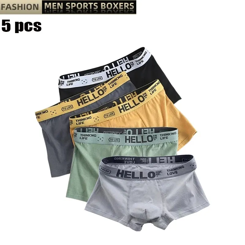 5 Stück Herren Unterwäsche männliche Boxer sexy Unterhose bequem atmungsaktive Mode Jungen Höschen Unterwäsche Boxershorts Männer