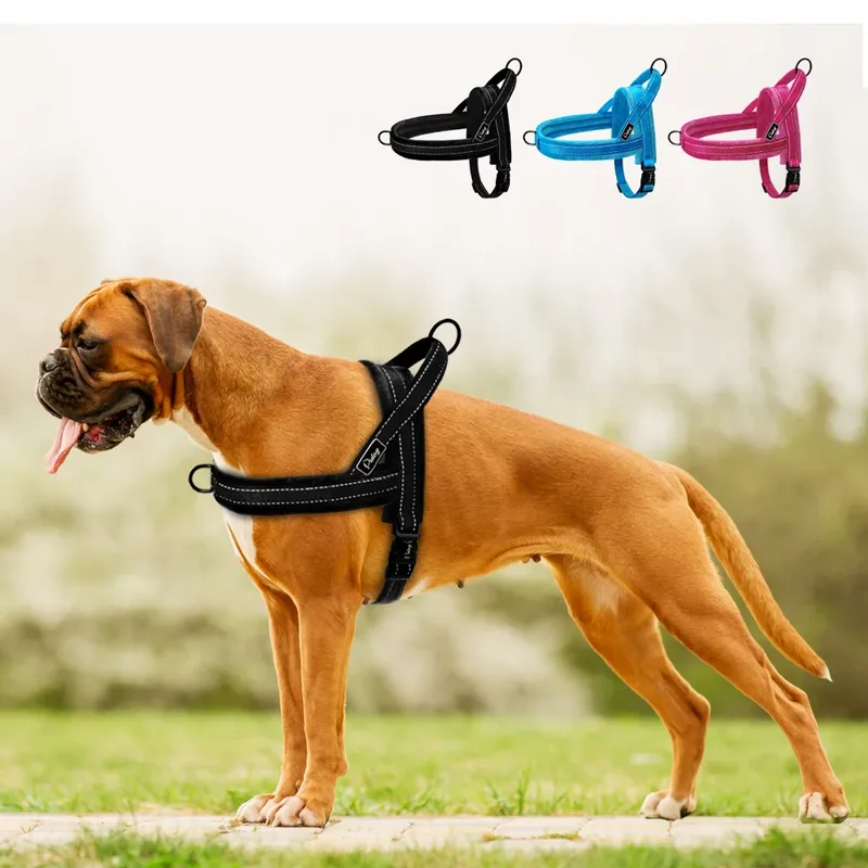 No Pull Hundegeschirr, Nylon, großes Hundegeschirr, reflektierende Haustierweste, gepolsterte Gurtgeschirre für kleine und mittelgroße Hunde, Pitbull Buldog