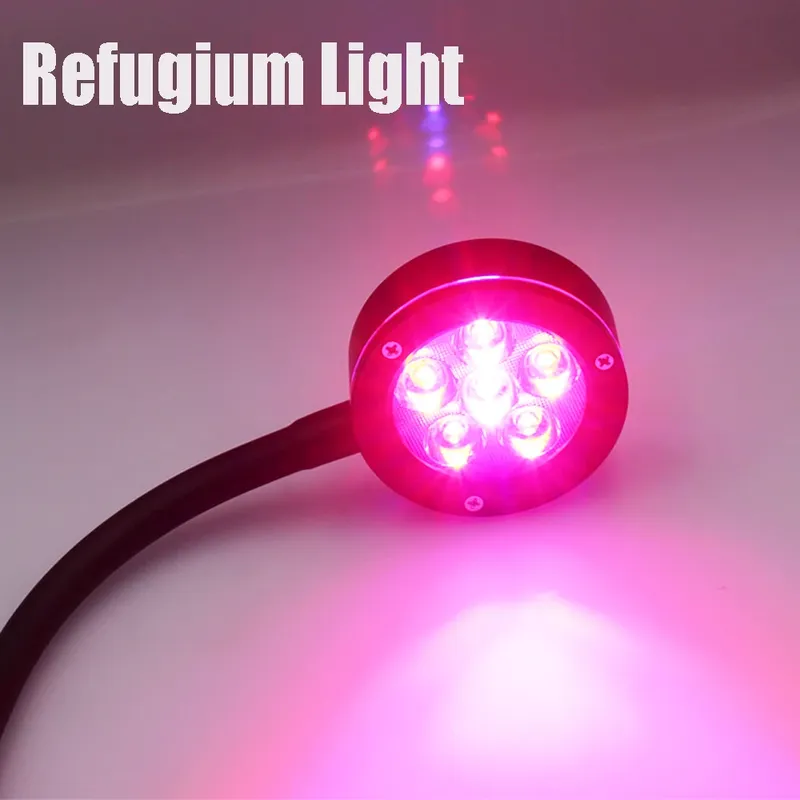 Nano Glo Refugium Aquarium Sumpf führte Hochleistungs-Chaeto wachsen Licht 6x3w rot blau Spektrum mit einstellbarem Clip