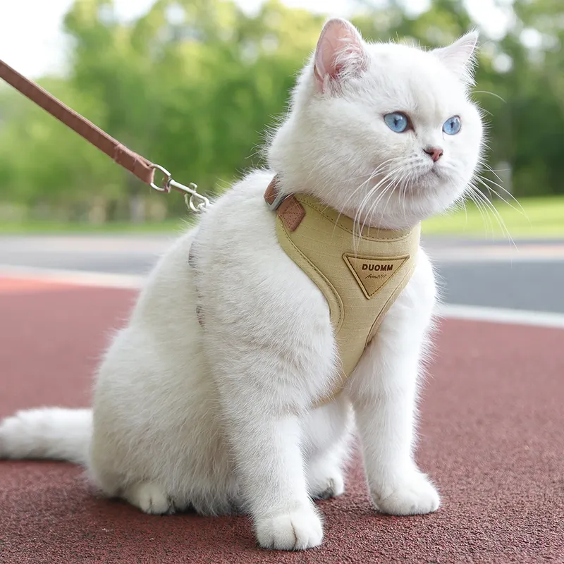 Outdoor-Walking-Zubehör für Katzen und Welpen, modisches Haustiergeschirr und Leine-Set für kleine Hunde und Katzen, atmungsaktive, langlebige Kätzchengeschirre