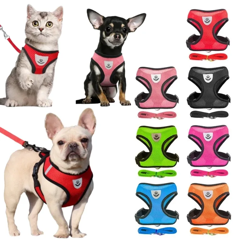 Atmungsaktives Mesh-Katze-Geschirr für kleine Hunde und Leine, Kätzchen-Katzen-Geschirre, kleiner Hund, Welpen-Geschirr für französische Bulldogge, Chihuahua, Mops