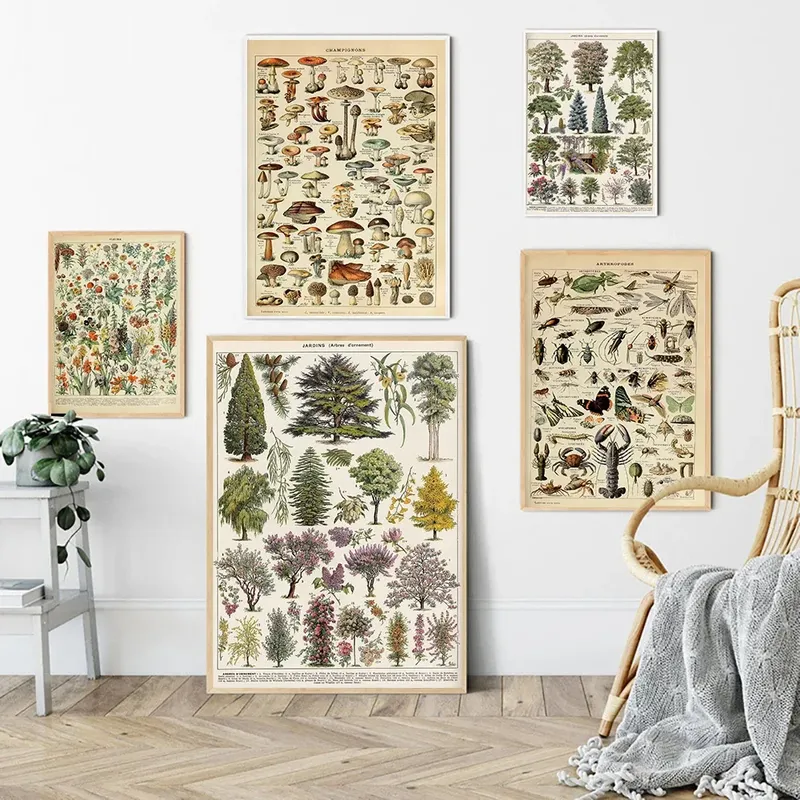 Vintage Adolphe Millot Enzyklopädie Poster und Drucke Botanische Pilze Kräuter Blumen Insekt Leinwand Gemälde Wand Kunst Dekor