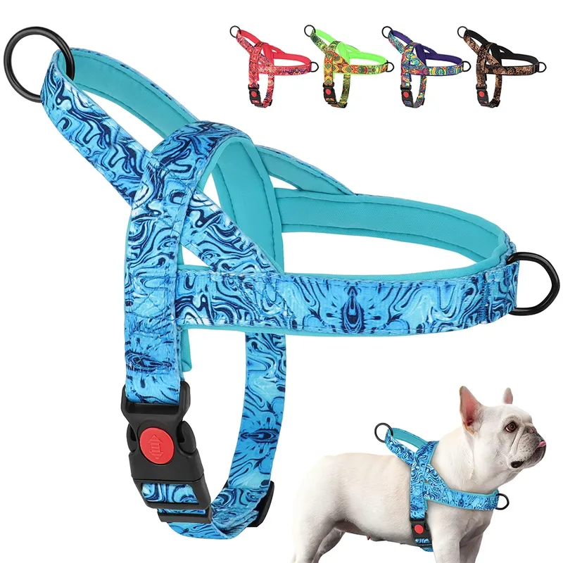 Nylon-Hundegeschirr, kein Ziehen, starke Hundegeschirre, verstellbare Haustier-Walking-Trainingsweste für kleine, mittelgroße und große Hunde, Pitbull, Bulldogge