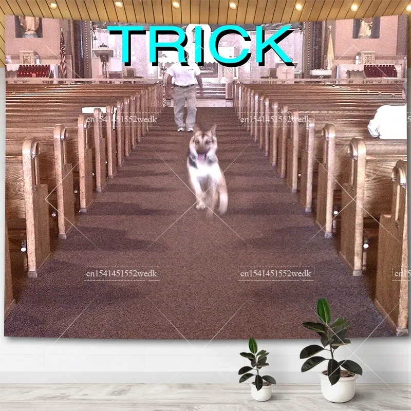 Alex G Trick Album Cover Tapisserie Wandkunst Poster Ästhetisches Schlafzimmer Dekorativer Druck Wandteppiche Makramee Stoff Tapisserie für Zimmer