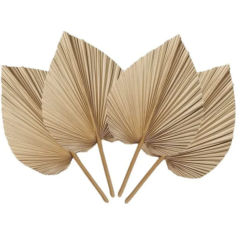 4 Stück natürliche getrocknete Palmblätter sind perfekt für Palm blatt Dekor, Boho Dekor, Wohnkultur, Hochzeit