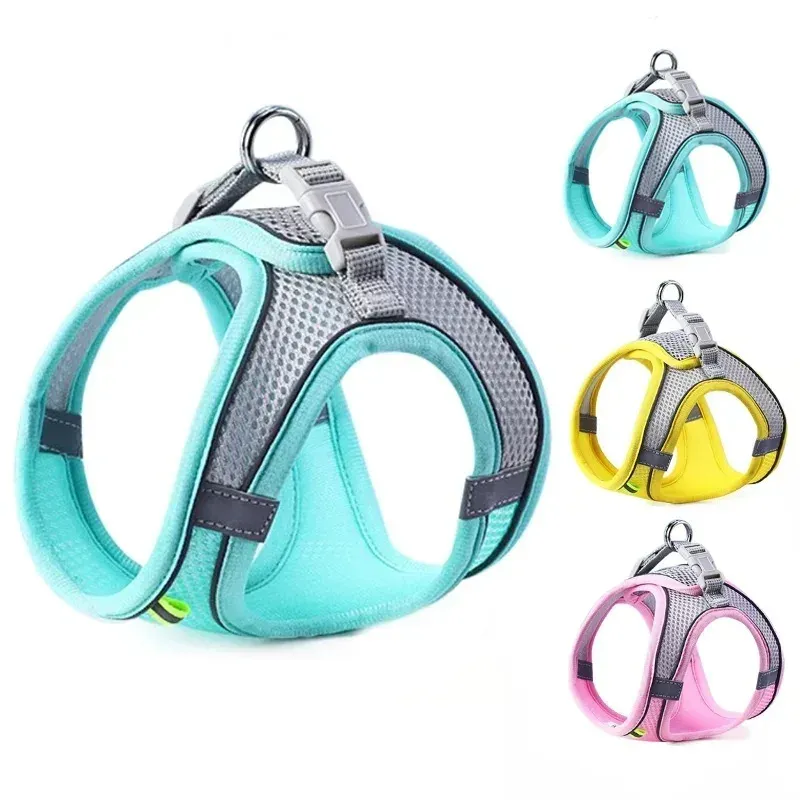 Katzen- und Hundegeschirr-Set mit Brustgurt, Reflektierend, Atmungsaktiv, Verstellbar, für Kleine und Mittelgroße Hunde, Outdoor-Spaziergänge