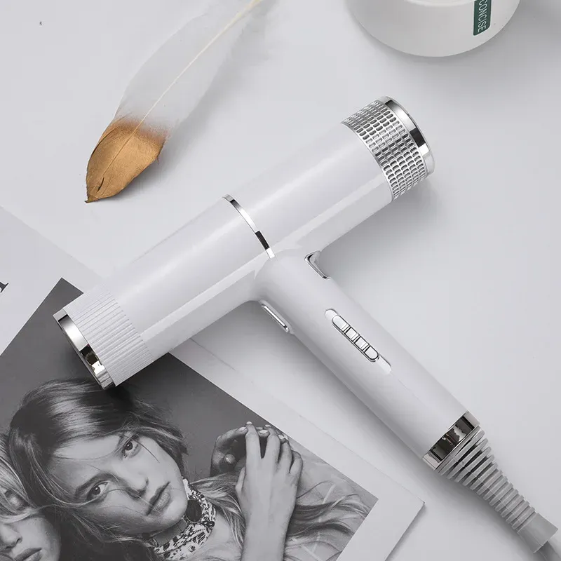 HOMEFISH Hammer Haartrockner 220V Inverter Mode Neuer grenzüberschreitender Salon Ion Home Haartrockner
