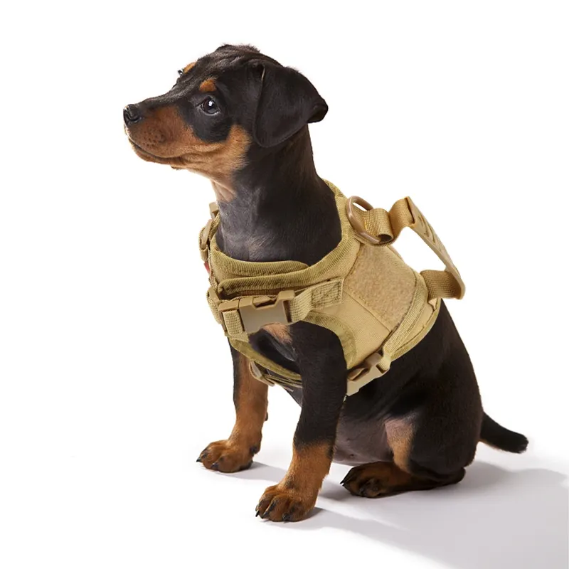 Taktische Welpengeschirr-Leine für kleine Hunde und Katzen, verstellbare Kätzchenweste für Militärdienst, Arbeitstraining für Hunde, Spazierengehen