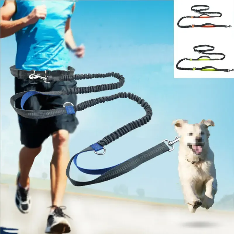 Reflektierende Leine Zugseil Haustier Hund Laufgürtel Elastische Hände frei Joggen Ziehen Hundeleine Metall D-Ring Leinen Geschirr