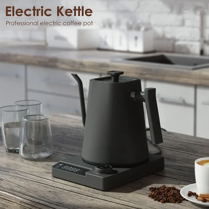 1200 W Schwanenhals-Wasserkocher mit Temperaturregelung, Wasserkocher für Kaffee und Teekessel, Kaffeekanne, 110 V/220 V