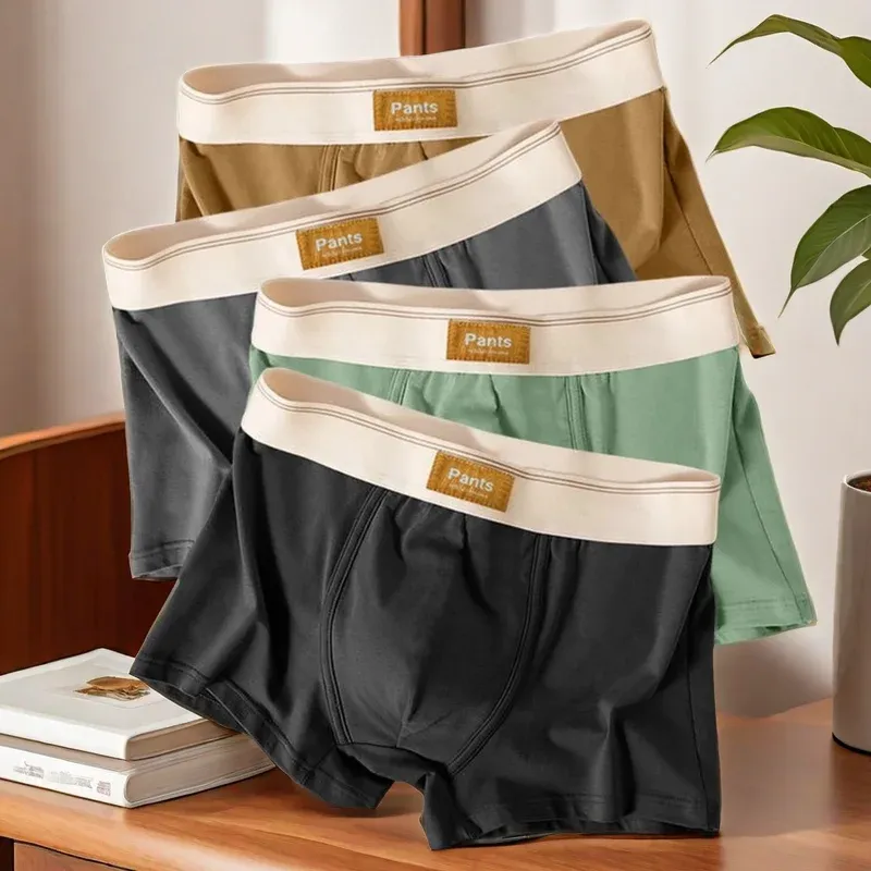 3 stücke Männer Höschen Baumwolle BoxerShorts Mann Unterwäsche Herren Boxer Atmungsaktiv U Konvexen Männlichen Unterhose Sexy Badehose