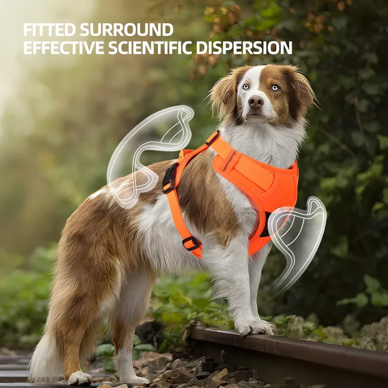 No Pull Hundegeschirr, Haustier, reflektierendes Nylon, verstellbar, mittelgroß, groß, freche Hundeweste, Sicherheit, Fahrzeug, Leine, Gehen, Laufen