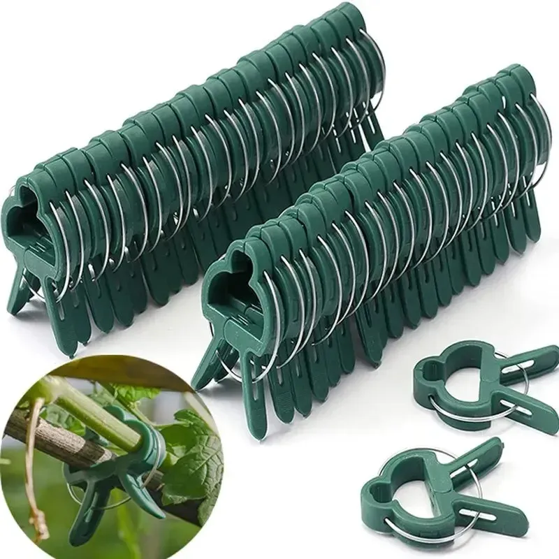 Feste Pflanzenklammern, wiederverwendbare Gartengewächshaushalterung für feste Pflanzen, Weinreben, Blumensämling, Stielstütze, Gartenbedarf