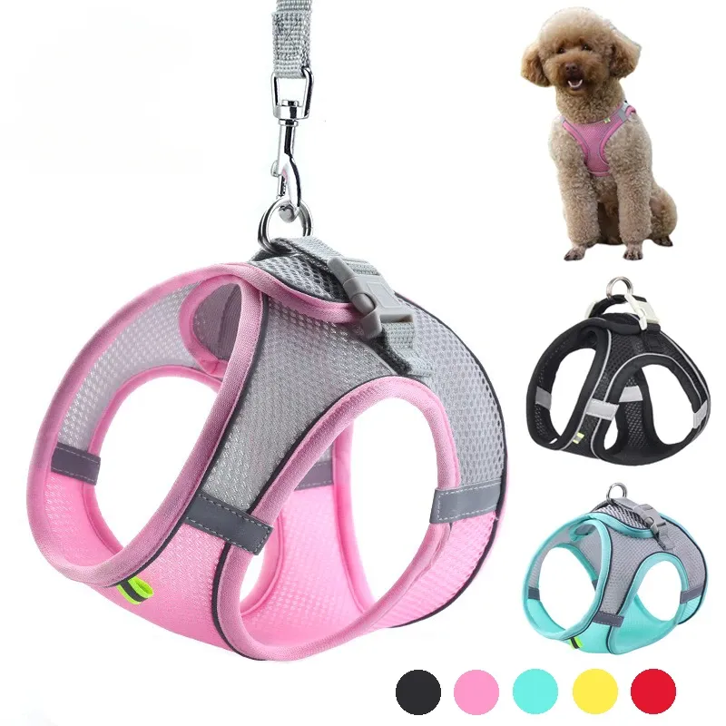 Welpen geschirr Set Hunde zubehör verstellbare Welpen-und Katzen geschirr weste französische Bulldogge Chihuahua kleines Hunde halsband Haustier leine Hunde