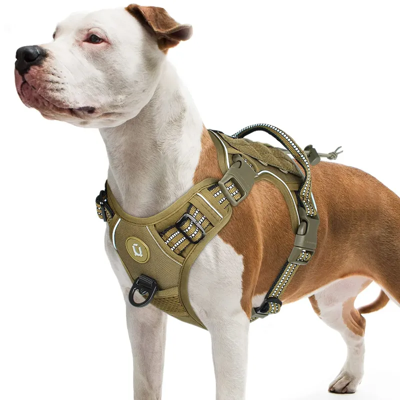 Taktisches Hundegeschirr, kein ziehendes Hundegeschirr, verstellbares, atmungsaktives MOLLE-Hundeweste-Geschirr für mittelgroße und große Hunde, reflektierendes Militär