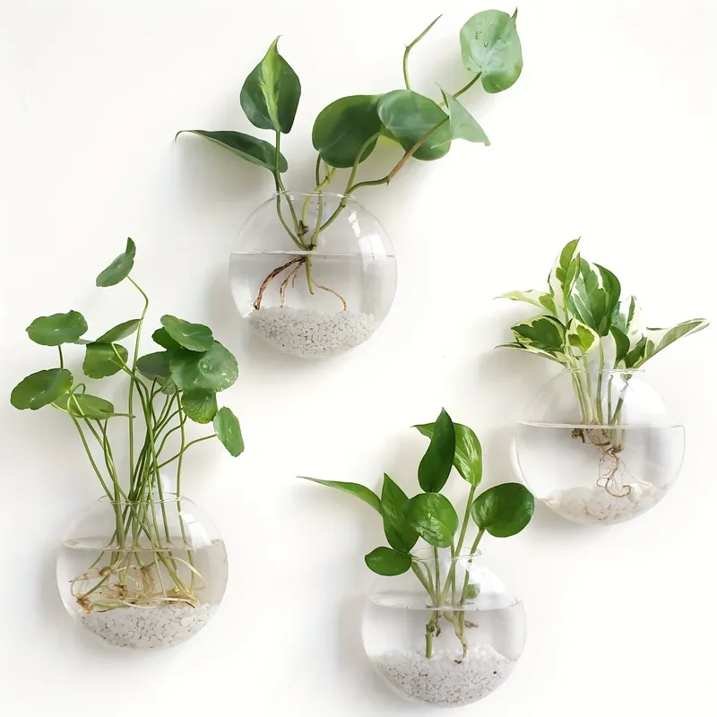 2/4/6er-Pack Wandbehang aus Glasterrarium – selbstbewässernde Hydrokultur-Pflanzgefäße für die Heim- und Bürodekoration, handgefertigte runde Kristallvase