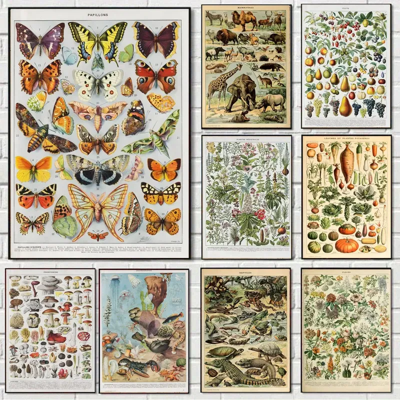 1 Stück Vintage Ästhetisches Poster Pflanzen Insekten Gemüse Fisch Schmetterlinge Rettiche Pilze Kräuter Vögel Illustrationen Wohnkultur