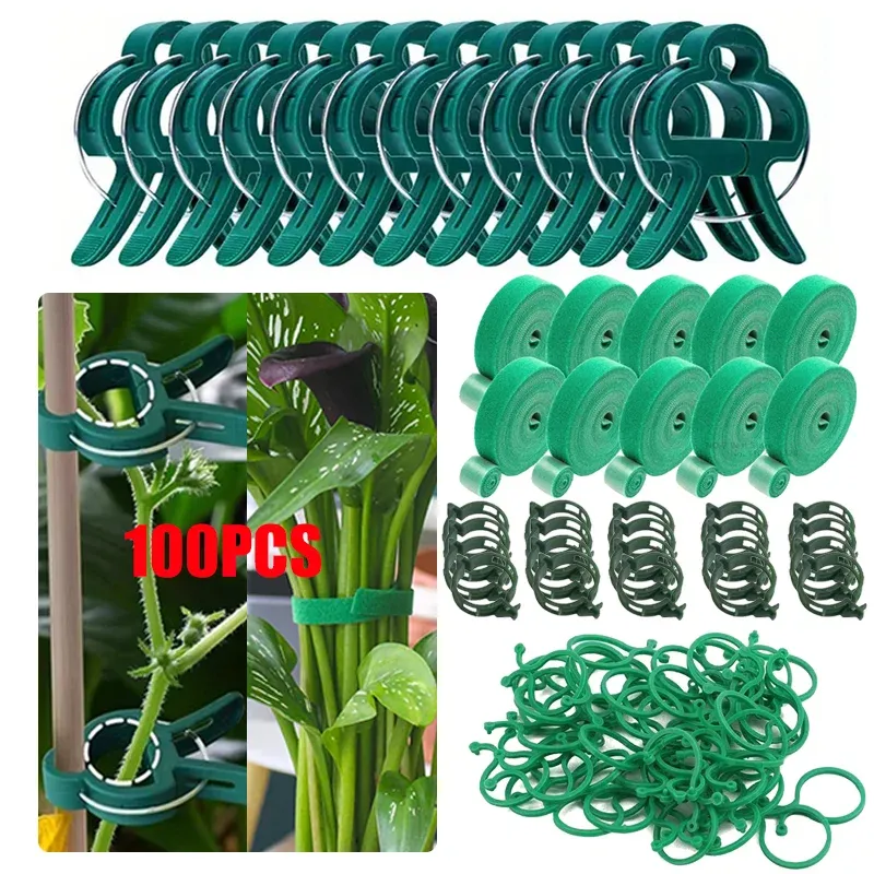 Pflanzenstütze, Ranken-Umreifungsclips, Garten-Gadgets, Unterstützung für Pflanzen, multifunktionaler Nylon-Kabelbinder, Gartenzubehör