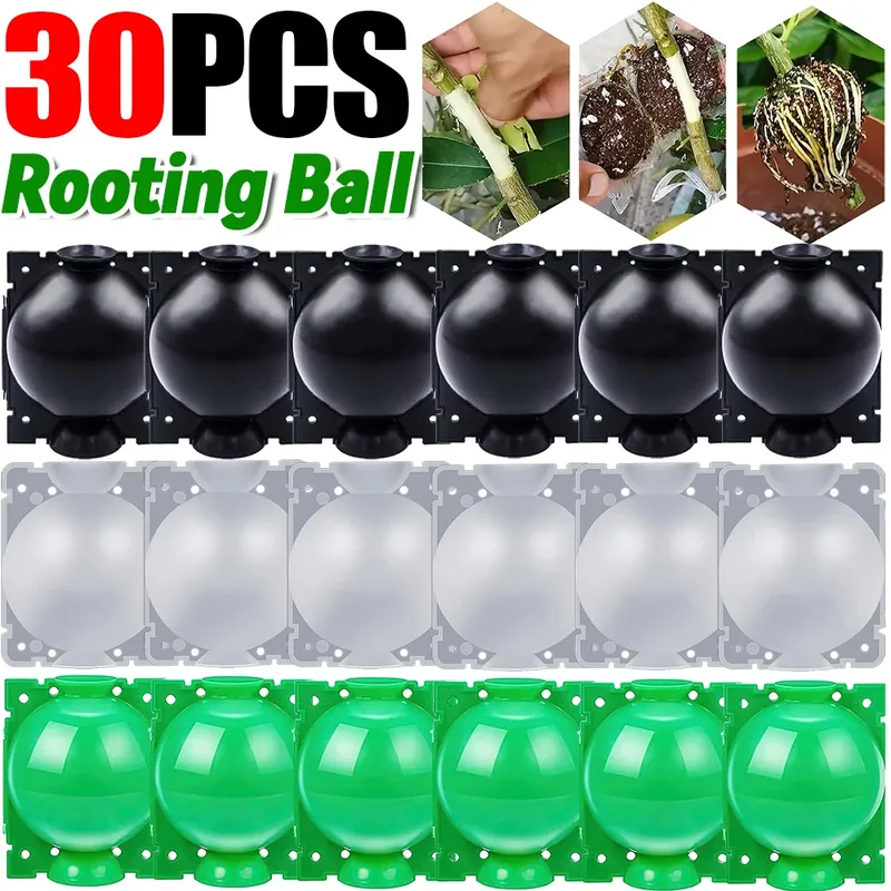 5/30Pcs Anlage Verwurzelung Ball Hochdruck Ausbreitung Wurzel Wachsenden Box Garten Wiederverwendbare Schneiden Pfropfen Ball Zucht Ausrüstung