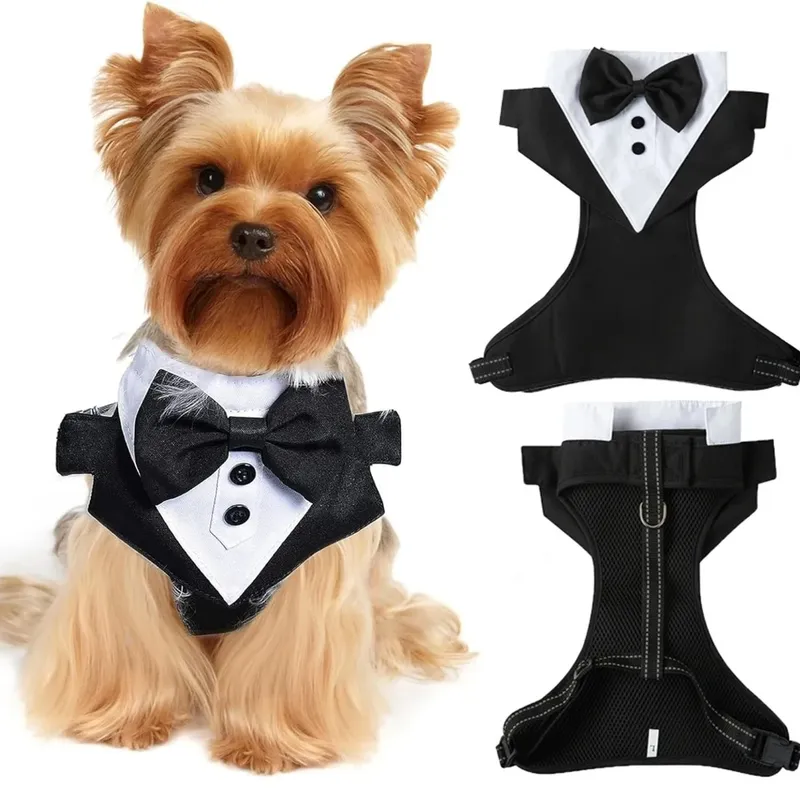 Gentleman Smoking Dog Harness Haustier Geburtstag Hochzeit Outfit Formelles Kostüm Netzweste mit Fliege für kleine und mittelgroße Hunde