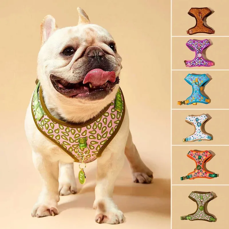 Romantisches Urlaubsgeschenk, leichtes, luxuriöses, verstellbares, personalisiertes Hundegeschirr + 1 Stück Ton-Haustier-ID-Tag, kostenlos mit dem Kauf