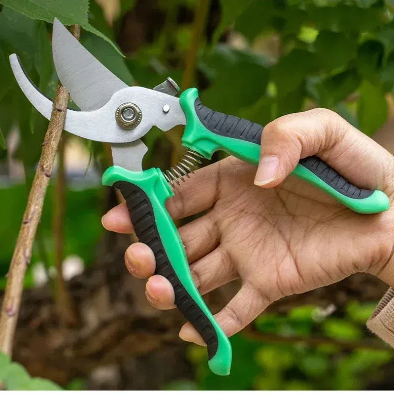 Professionelle Gartenschere aus Edelstahl zum Beschneiden von Ästen, Obstbäumen, Blumen, Haushaltsschere