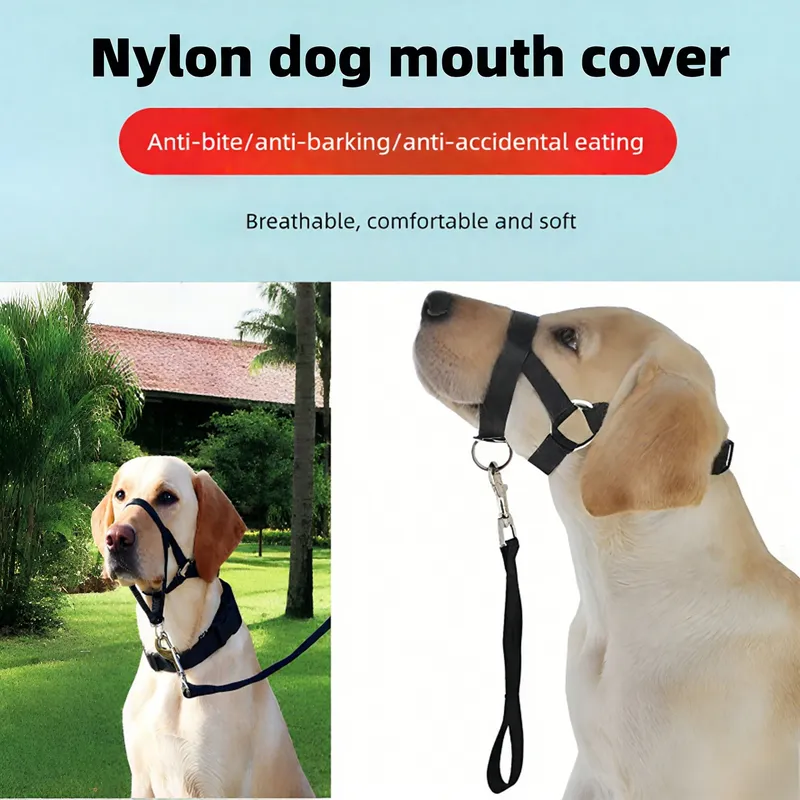 Hundehalsband Maulkorb Halfter Training Hundeleine Vorfach Klassisches Halsband Verstellbares Anti-Bell-Anti-Biss-Hundegeschirr Hundezubehör