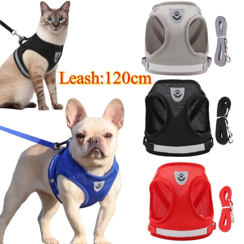 Haustier-Hundeweste, Geschirr und Leine-Set, verstellbares Netz, Hundegeschirr, Katzenzubehör, Leine, Geschirre, Welpe, Bulldogge, Corgi, Hundezubehör