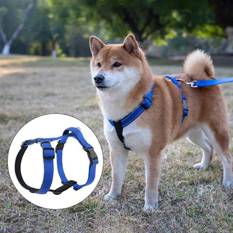 Husky Leichtes H-förmiges Haustier-Hundegeschirr, reflektierende Weste, Nylon, explosionsgeschützt, weicher Brustgurt, Haustierzubehör für Hunde