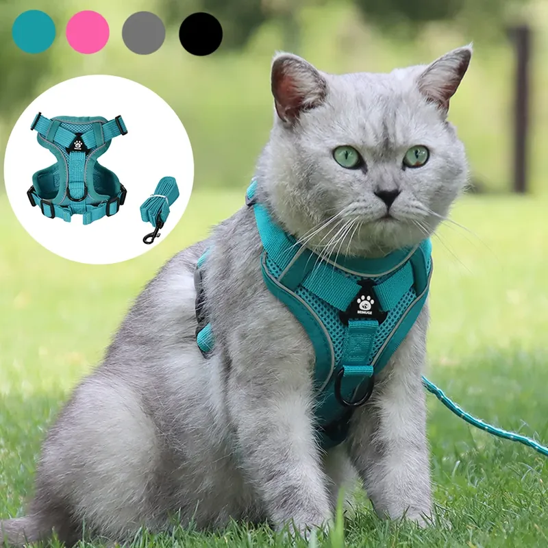 Atmungsaktive Katzengeschirr-Leine für kleine und mittelgroße Hunde, Katzen, verstellbare reflektierende Geschirre, Haustiere, Weste, Welpe, Maine, Sphynx-Zubehör