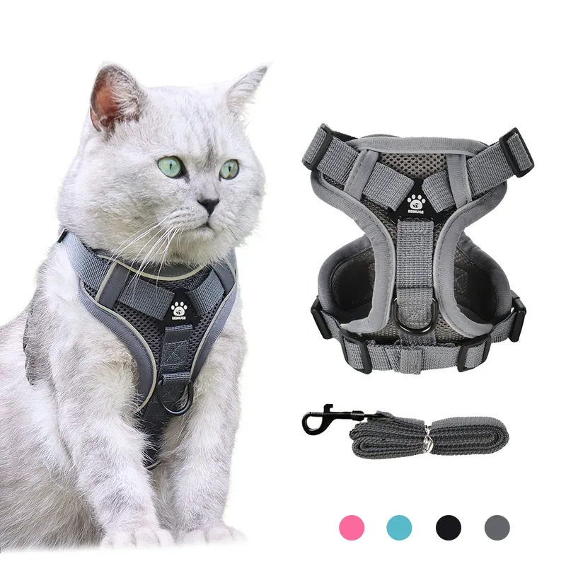 Katzen Geschirr Leine Für Kleine Hunde Katze Outdoor Reflektierende Einstellbare Welpen Kätzchen Traktion Gerät Taktische Ausbildung Haustier Liefert
