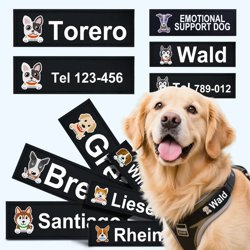 2 teile/los Hund Brust Harness Etiketten ID Haustier Muster Zubehör Serie Outdoor Liefert Personalisierung Anpassung Name und Oth