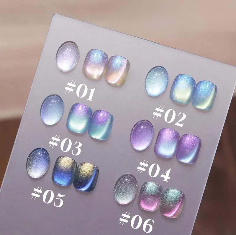 1-6 Stück Beliebter Winter Internet-Trend Bestseller Nordlicht Katzenauge Magnet Gel Nagellack Nagelkunst Nagelzubehör