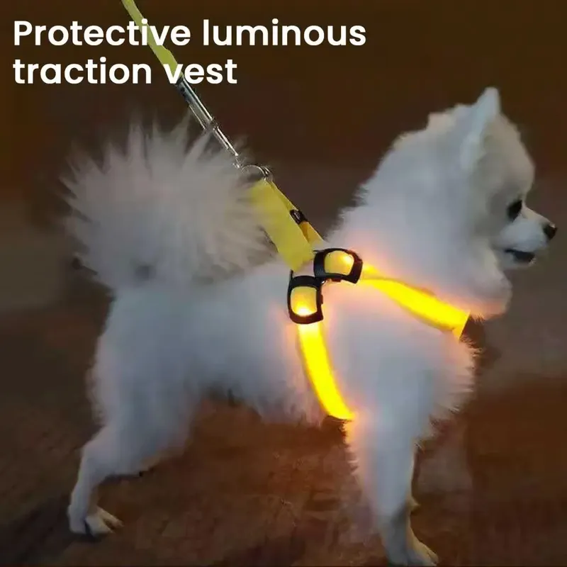 Verstellbares LED-Haustiergeschirr, über USB wiederaufladbar, leuchtendes Hundegeschirr, im Dunkeln leuchtende Sicherheitsweste für kleine, mittelgroße Hunde, Haustiere, Arnes