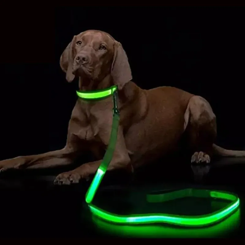 LED Leuchten Hund Leine Leucht Seil Blei Leine Für Hund Sicherheit Blinkende Leuchtende Hundehalsband Geschirr Elektronische Haustier Zubehör