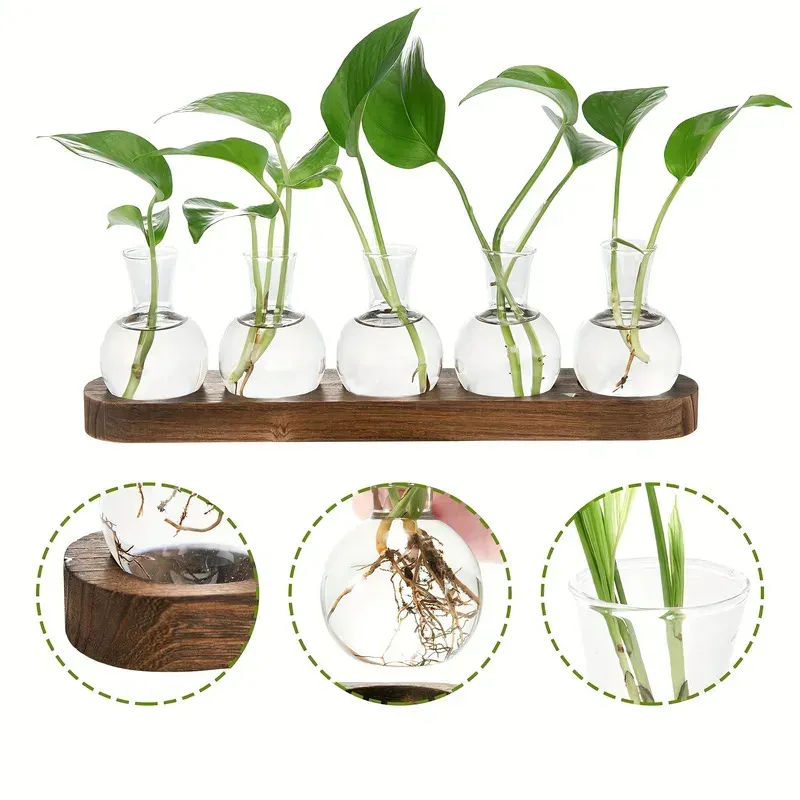 Glasterrarium für Pflanzen mit Holztablett – für Hydrokulturvase im Innenbereich, Desktop-Home-Office-Dekoration