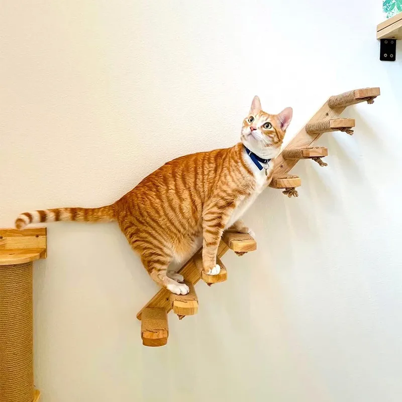 Klettertreppe für Katzen, wandmontierte Stufen aus Holz und Sisalseil, Kratzleiter, Haustiermöbel für Katzen im Innenbereich, die den Schlaf spielen