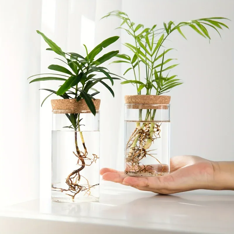 1 Stück, Hydroponische Pflanzen-Tischvase aus Glas für Heimdekoration, Pflanzenvermehrungsstation, Knospenvase, Desktop-Hydroponik