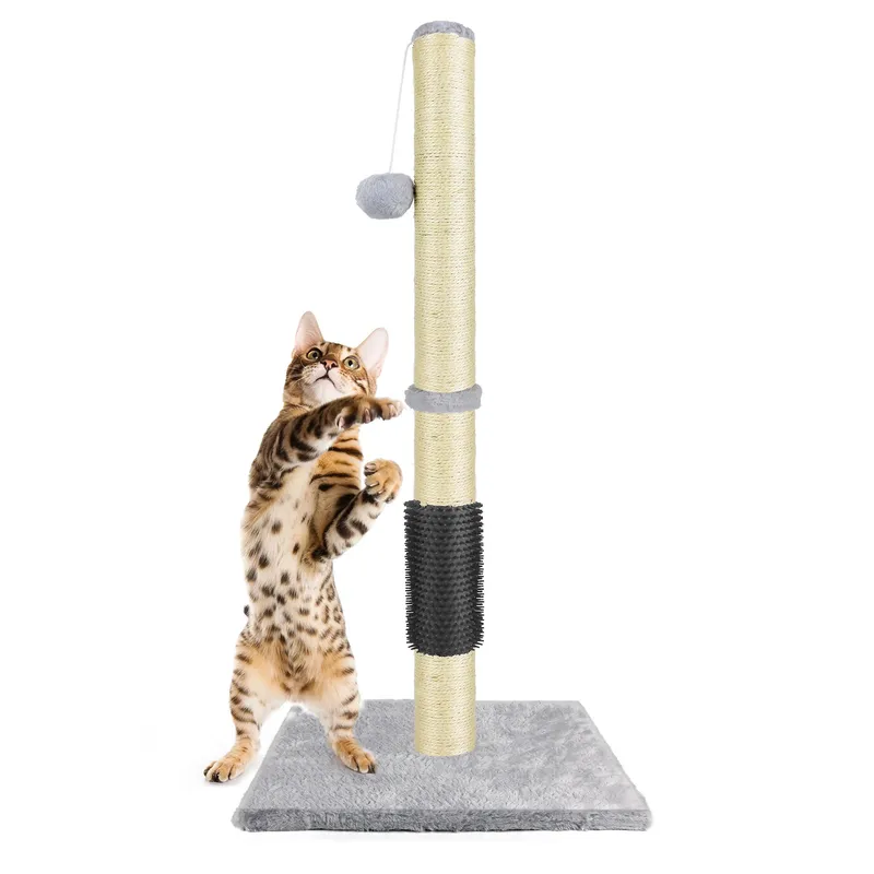 80 cm einfacher Kratzbaumturm, Kratzbaum für Katzen, Kratzbaum, Kletteraktivitätszentrum, Sisalbett, Spielzeug, Kratzturm