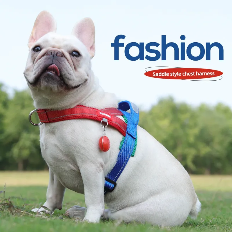 Hunde-Haustier-Brustgeschirr, breites Gurtband, zweifarbig, kontrastierend, vier Seadon-Hundegeschirr, Nylongriff, Outdoor-Hundegeschirr, reflektierend