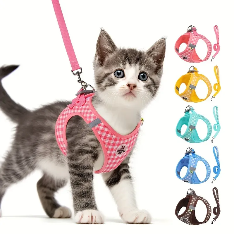 Kariertes Haustiergeschirr, Katzenleine, kleines Hundegeschirr, Kätzchen, Outdoor, atmungsaktiv, reflektierend, für Katzen, Brustgurt, kariert, Spaziergang, Bichon Frise