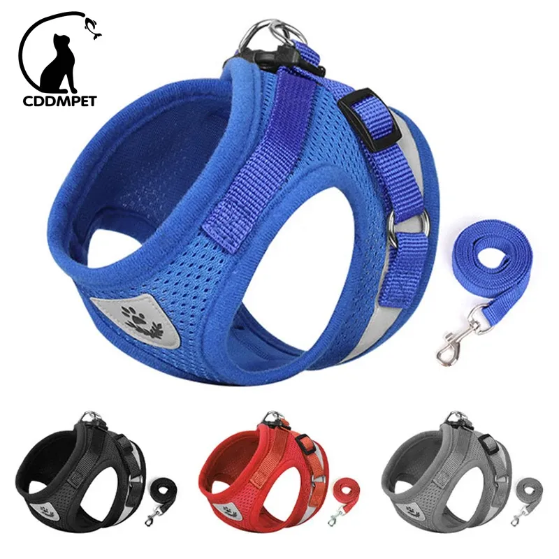 CDDMPET Hundegeschirr und Leine-Set, Outdoor-Training, Gehgeschirre, Sicherheit, Sport, Welpenweste, Haustiergeschirr für kleine Hunde und Katzen