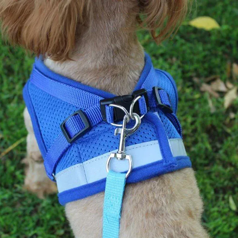 Weste Geschirr Leine Einstellbare Mesh Weste Hundegeschirr Kragen Brustgurt Leine Geschirre Mit Zugseil XS/S/M/L/XL