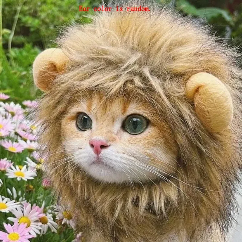 Katzen-Haarteil, humorvolle Löwenmähne-Kopfbedeckung für Hunde und Katzen, verstellbares Kostümzubehör für unterhaltsames Anziehen und Spielen